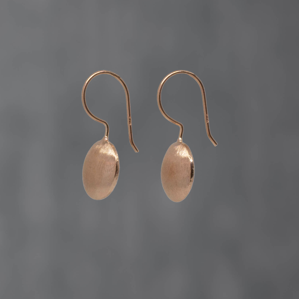Brushed Circle Drop Earrings - Beyond Biasa