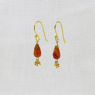 Gold vermeil carnelian briolette drop earrings with a cluster of gold vermeil beads and a hook fitting